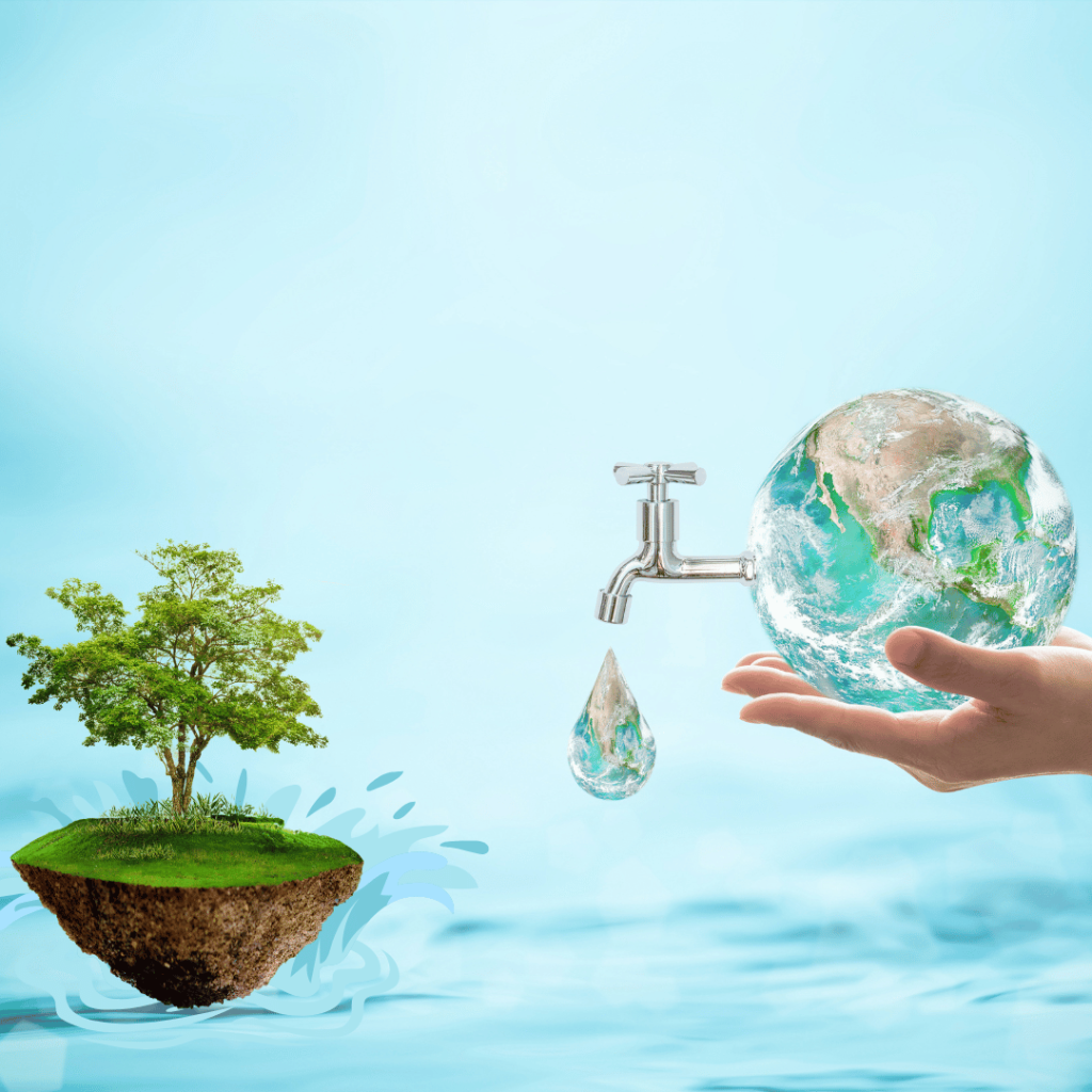 Image of Clean water and plant